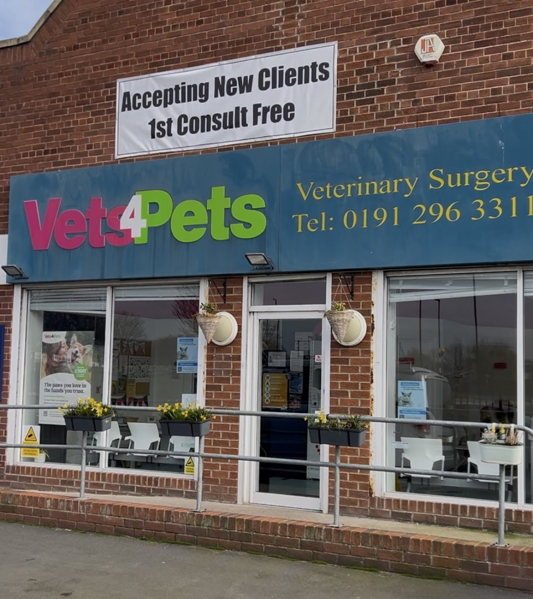 Vets4Pets - North Tyneside - Photo 2