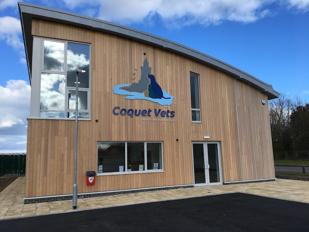 Coquet Vets - Photo 2