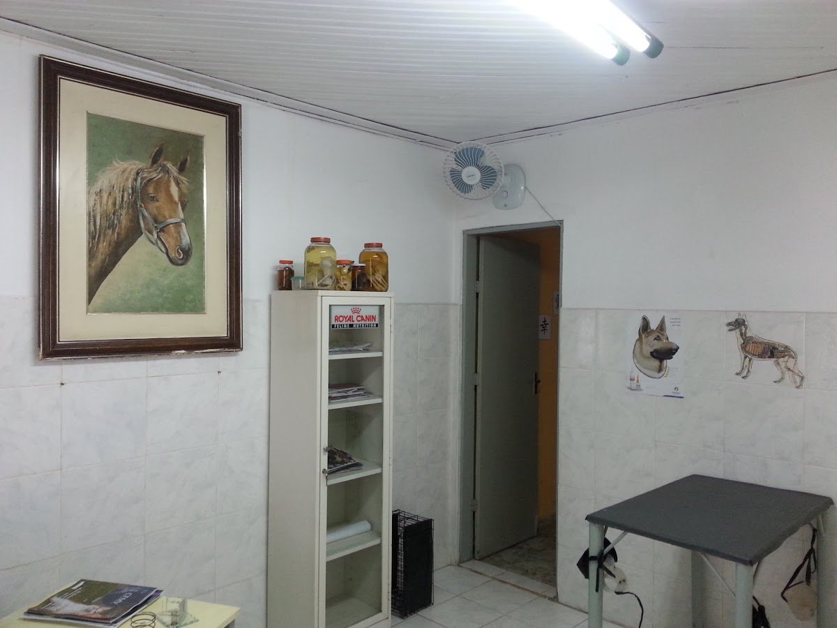 Dr. Airton Vivan - Veterinário