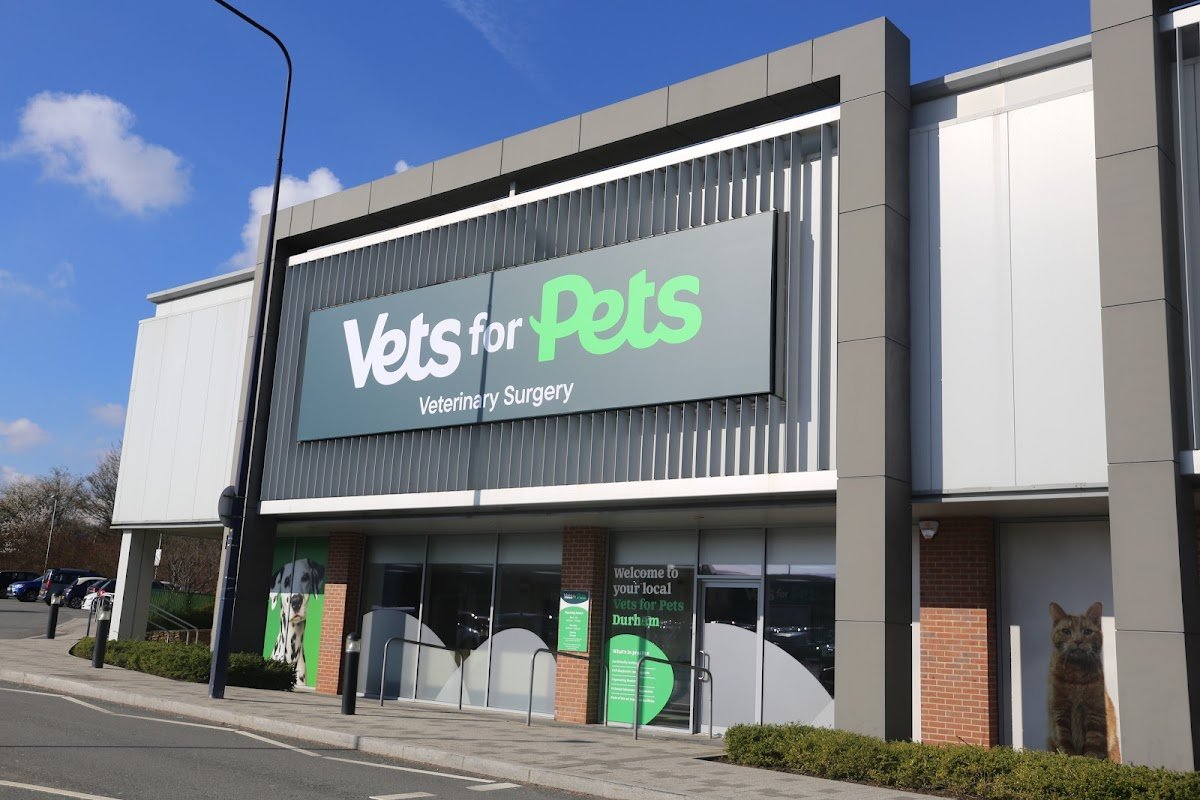 Vets for Pets - Durham - Photo 2