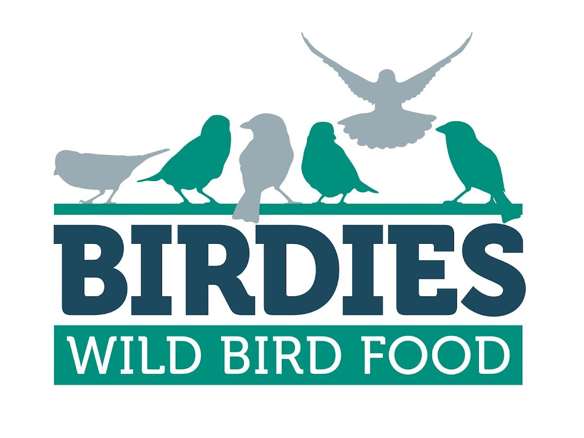 Birdies - Photo 2