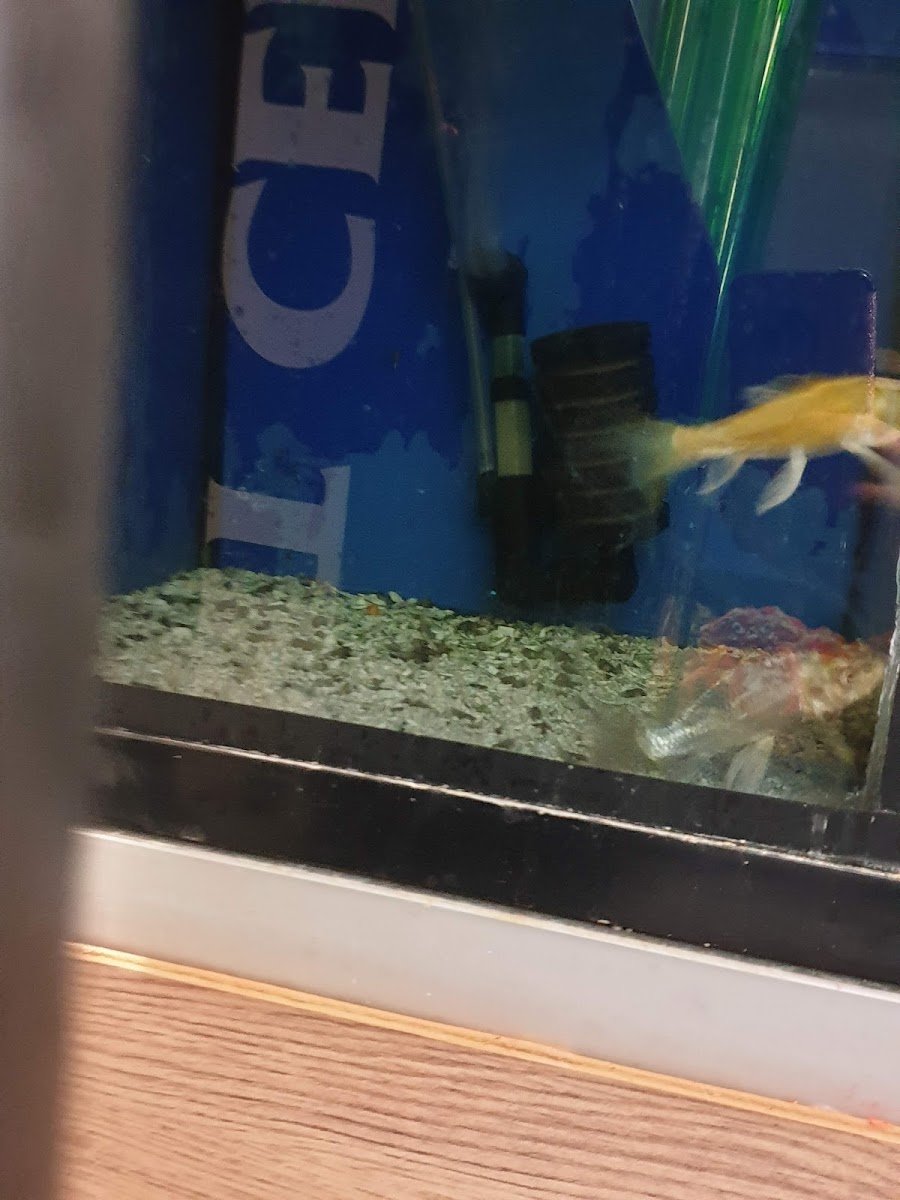 MD Aquatics - Photo 2