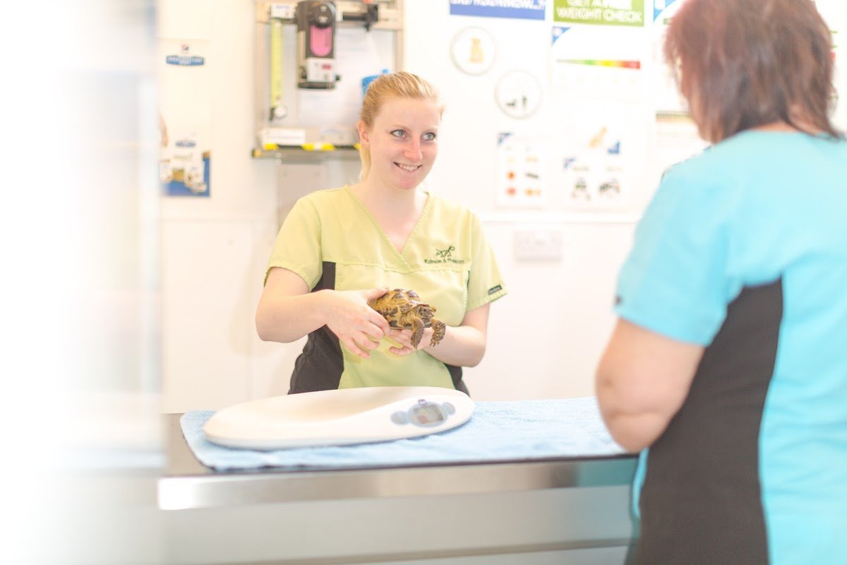Robson & Prescott Veterinary Practice, Blyth - Photo 2
