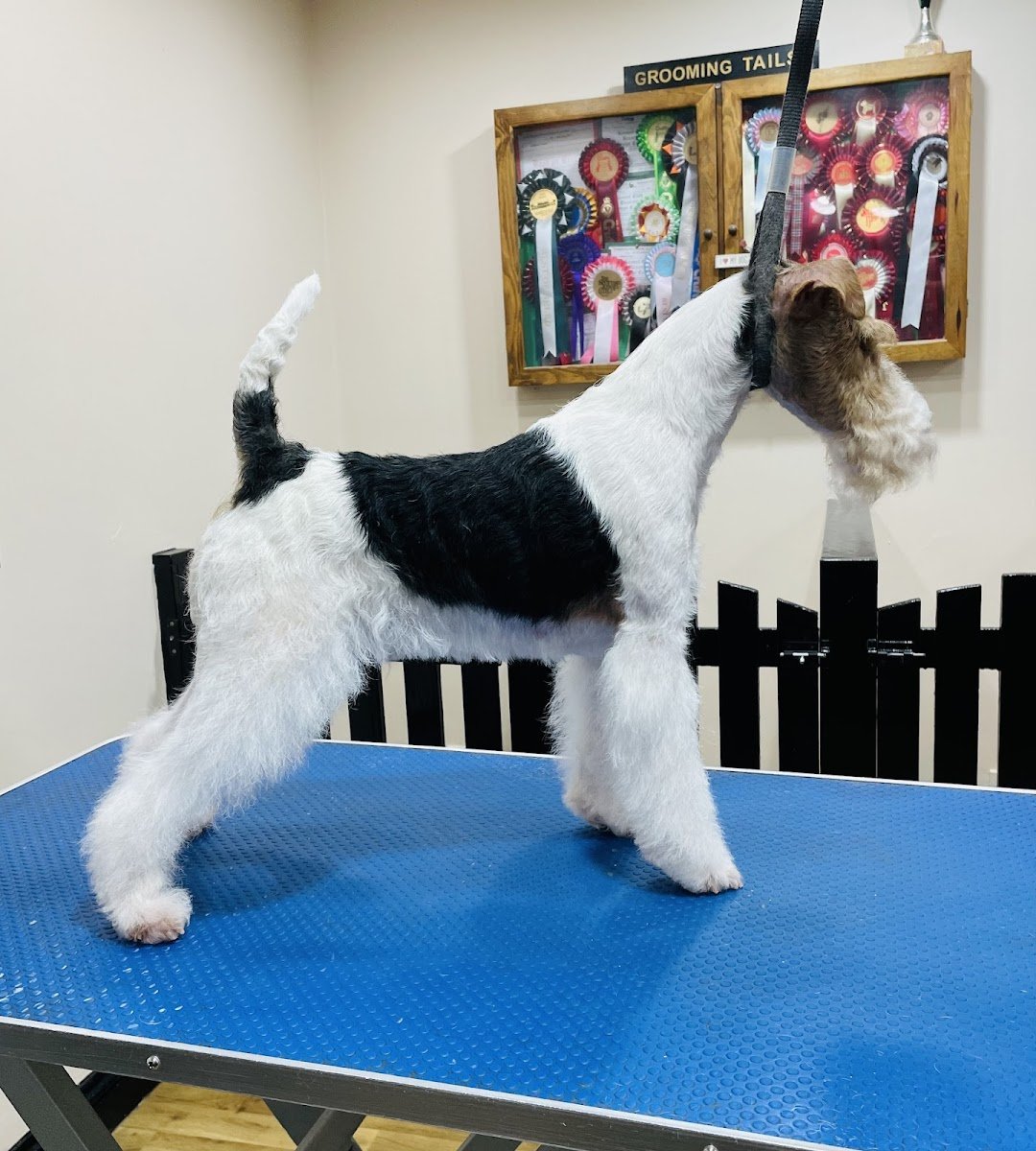 Groomingtails - Photo 2