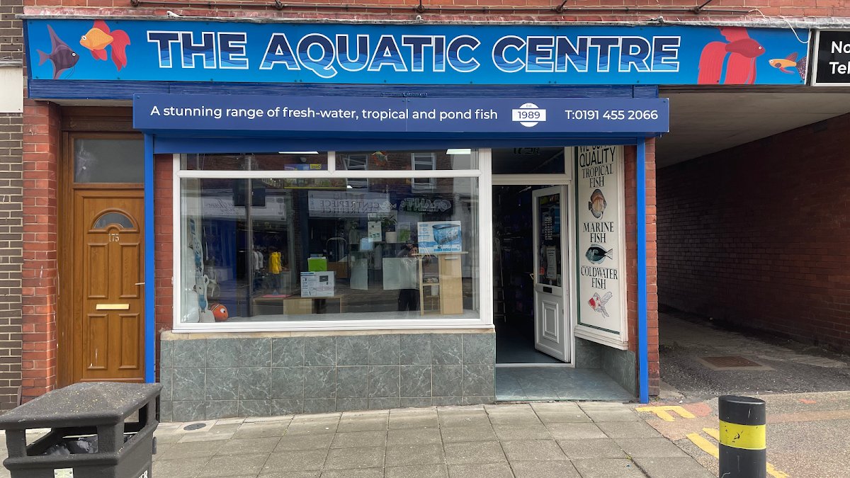 The Aquatic Centre - Photo 2