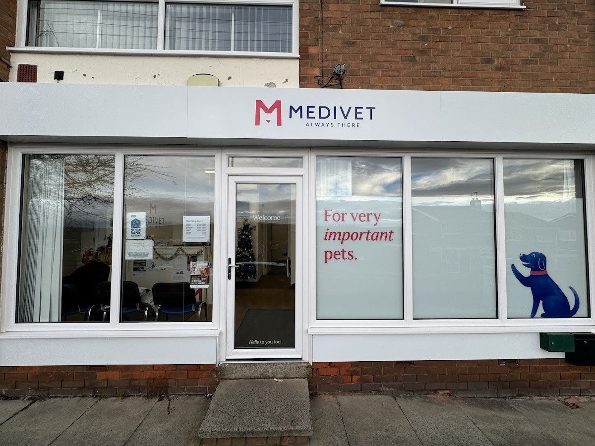 Medivet Low Fell - Photo 2