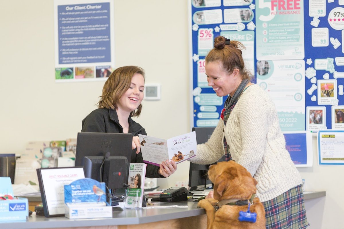 Robson & Prescott Veterinary Practice, Ashington - Photo 2