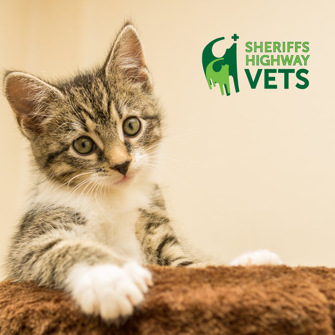 Sheriffs Highway Vets - Photo 2