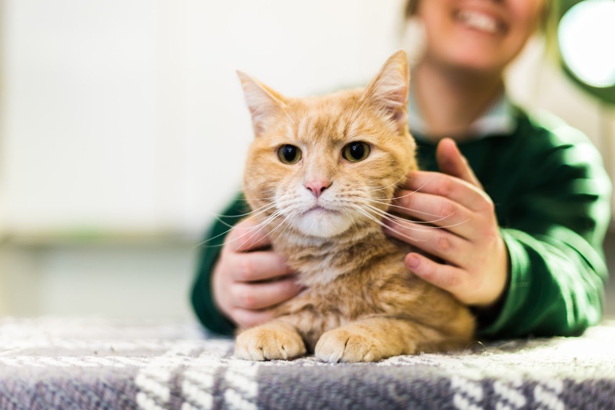 Abbey Veterinary Centre - Durham - Photo 2