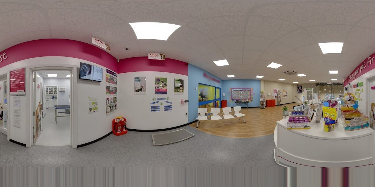 Pets at Home Morpeth - Photo 2