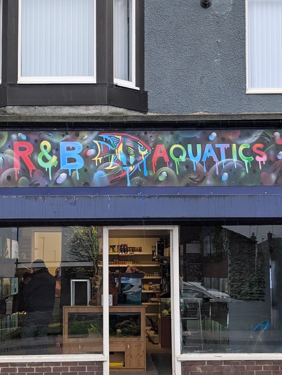 R&B aquatics - Photo 2