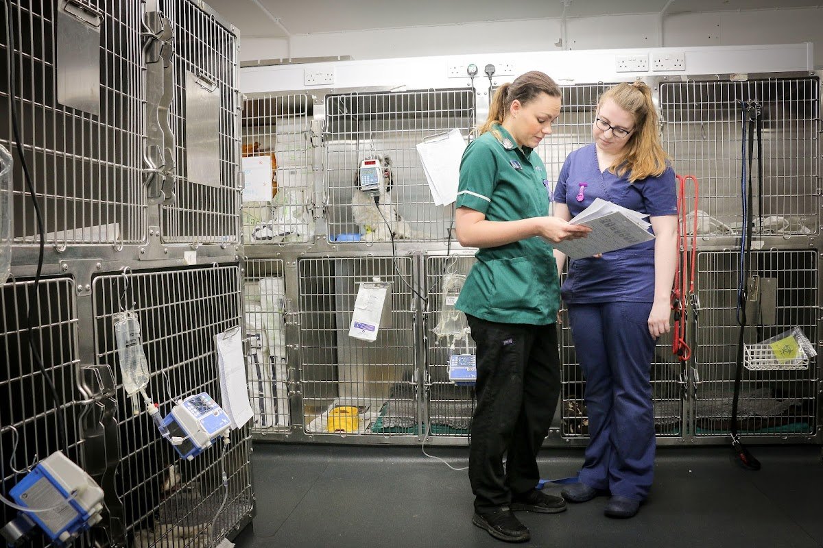 Westway Veterinary Group, Leam Lane - Photo 2