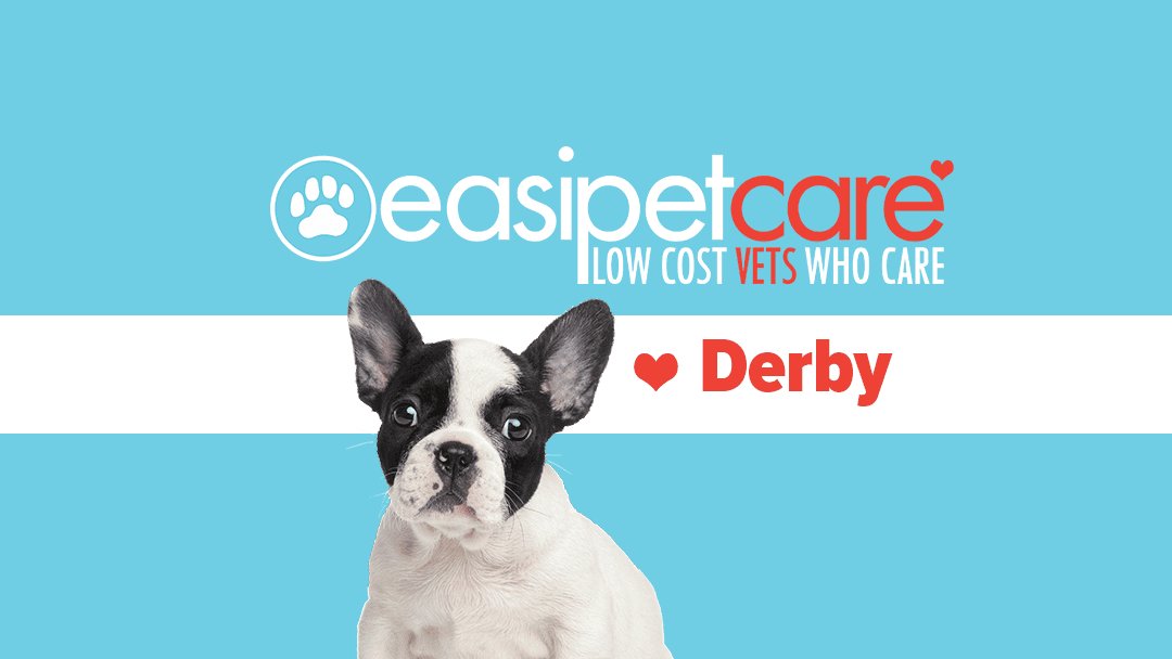 easipetcare - Derby - Photo 2