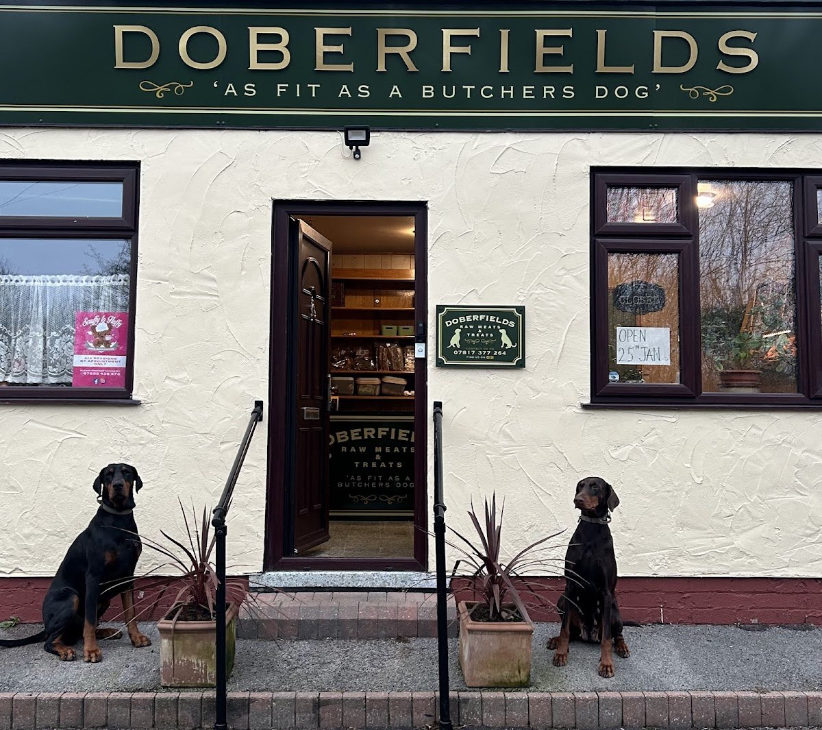 Doberfields - Photo 2