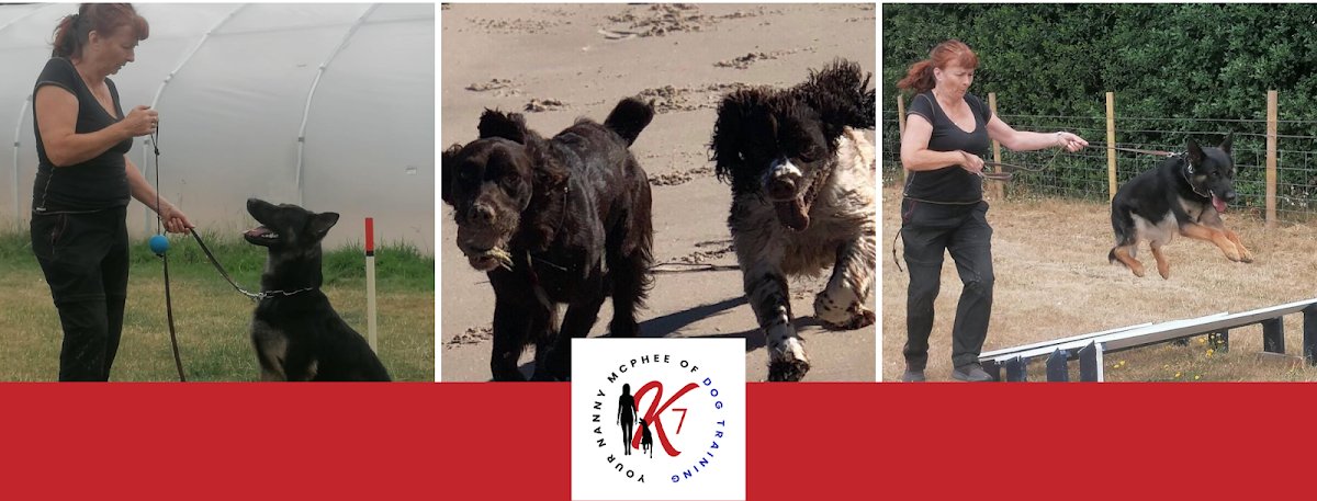 K7 Dog Training - Photo 2