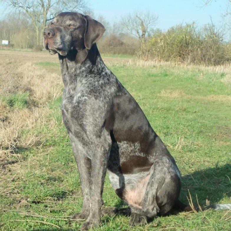 Major Walks - Photo 2