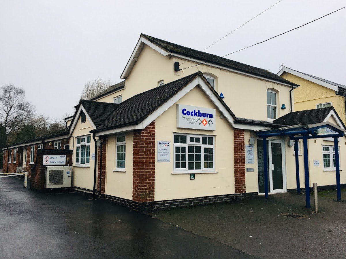 Cockburn Vets - Photo 2