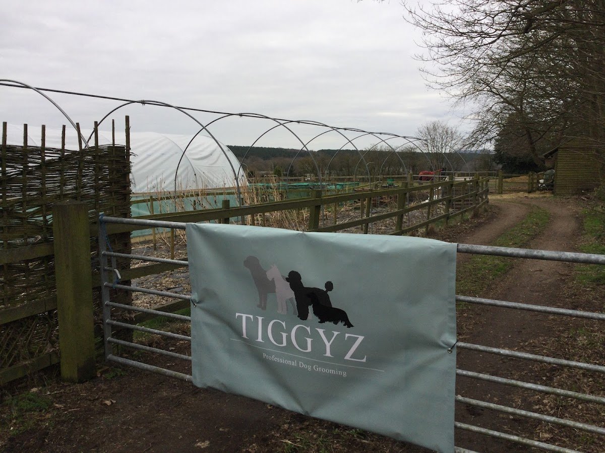 Tiggyz Ltd - Photo 2