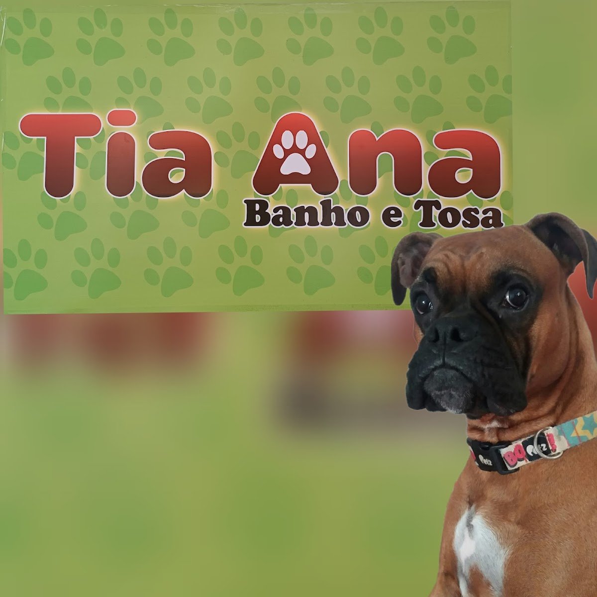 ANYPETS PET SHOP - Pet Shop em Belo Horizonte