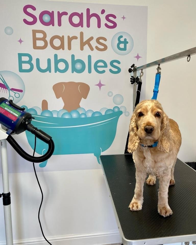 Sarah's Barks & Bubbles - Photo 2