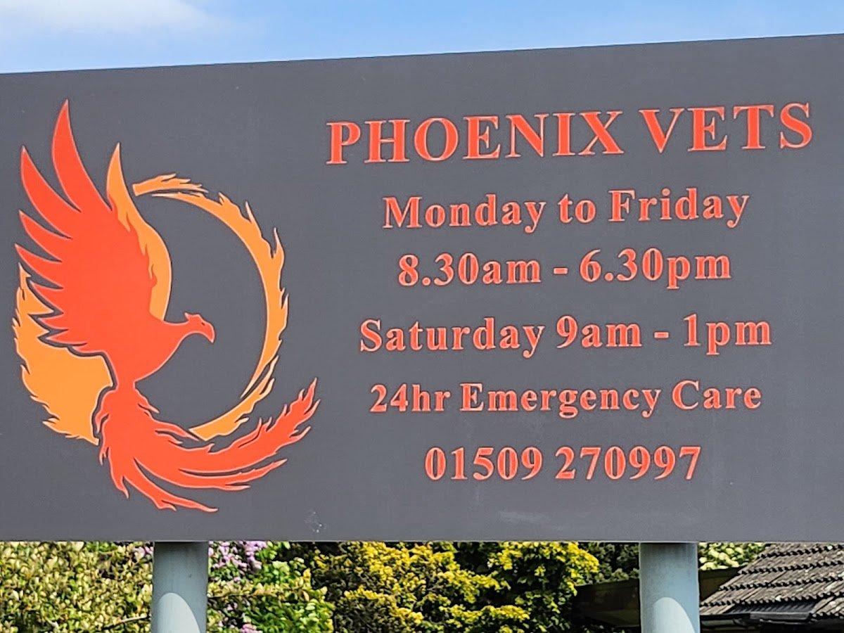 Phoenix Vets - Photo 2