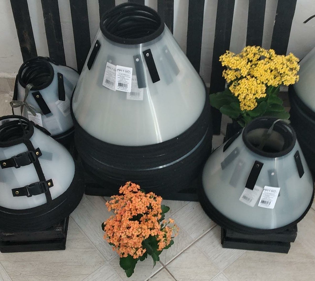 Colar Elizabetano Matso - Pet Shop em Sorocaba