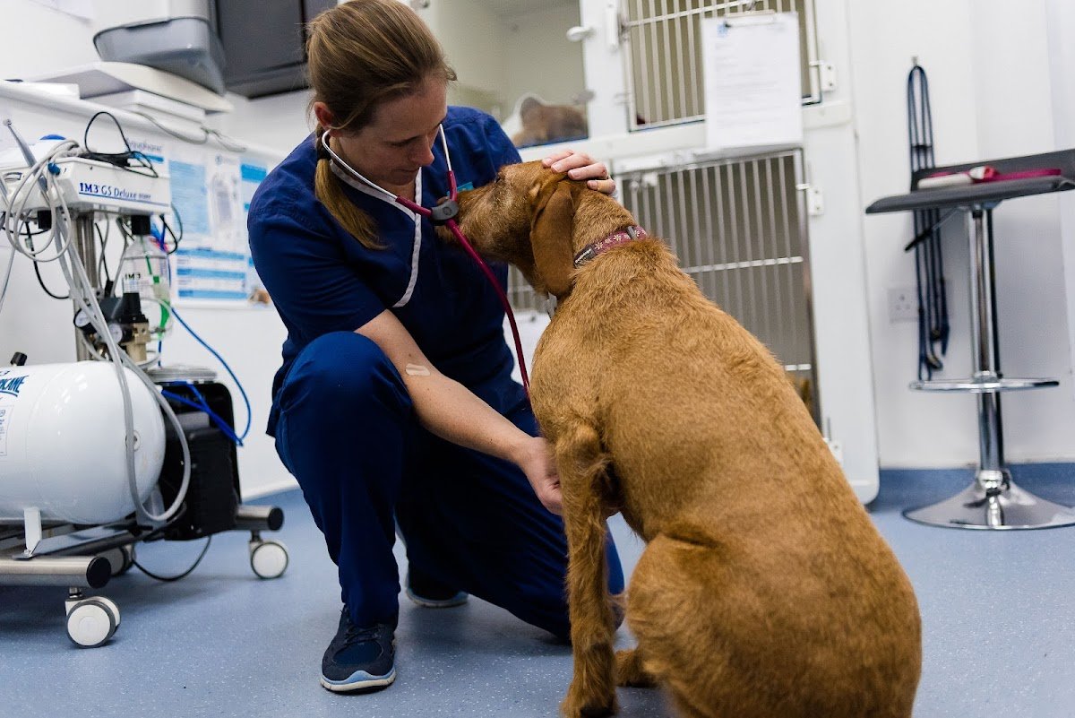 Derwent Valley Vets - Photo 2