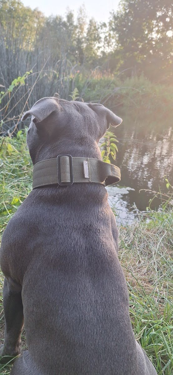 BullyBillows - Photo 2