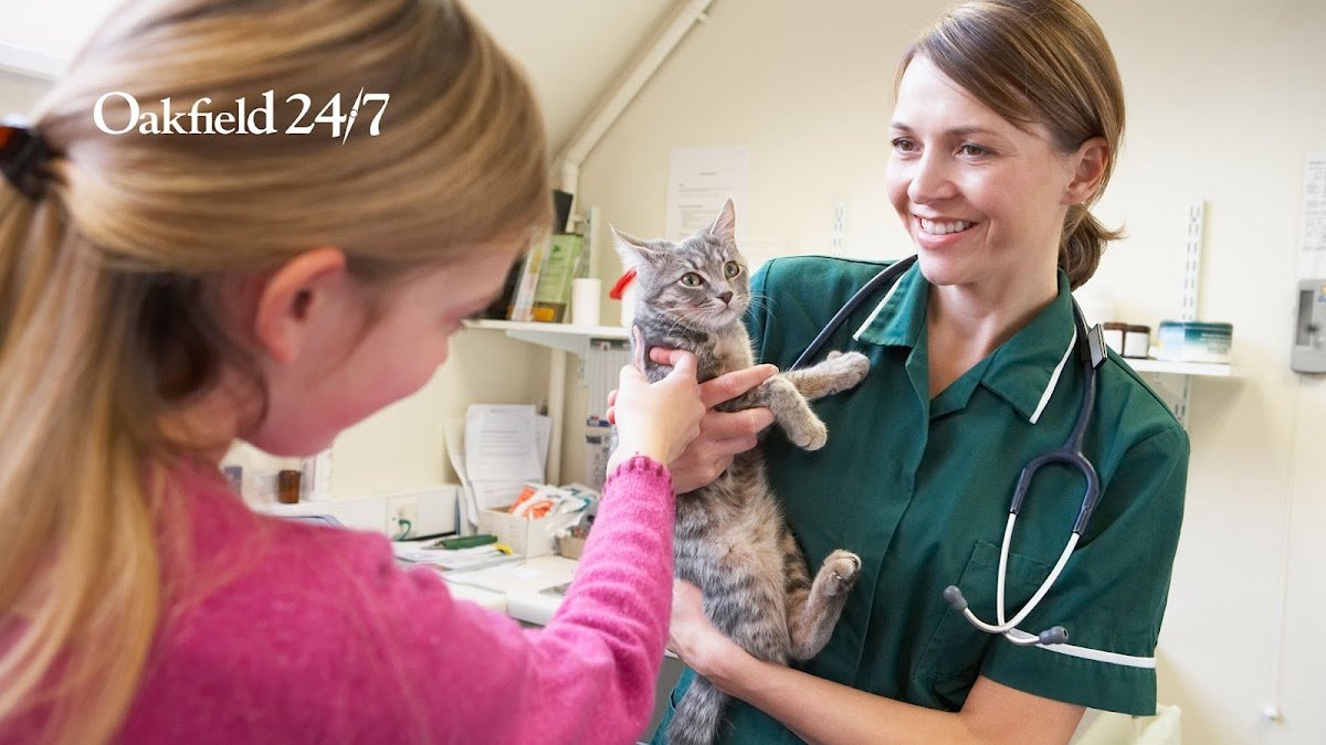 Oakfield Veterinary Group - Atherstone - Photo 2