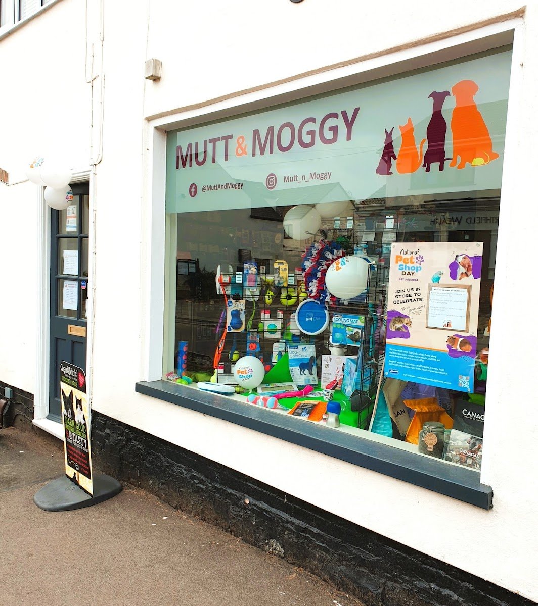 Mutt & Moggy - Photo 2