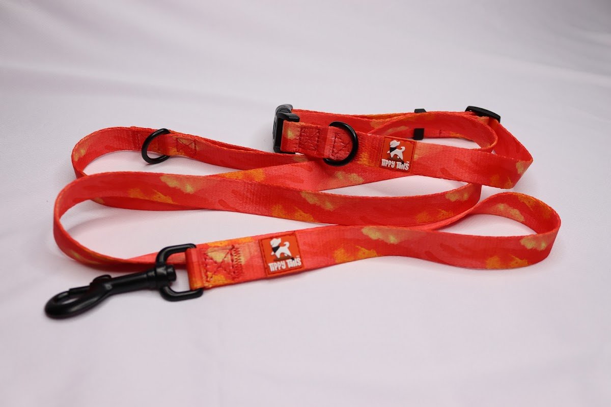 Tippy Tails LTD - Photo 2