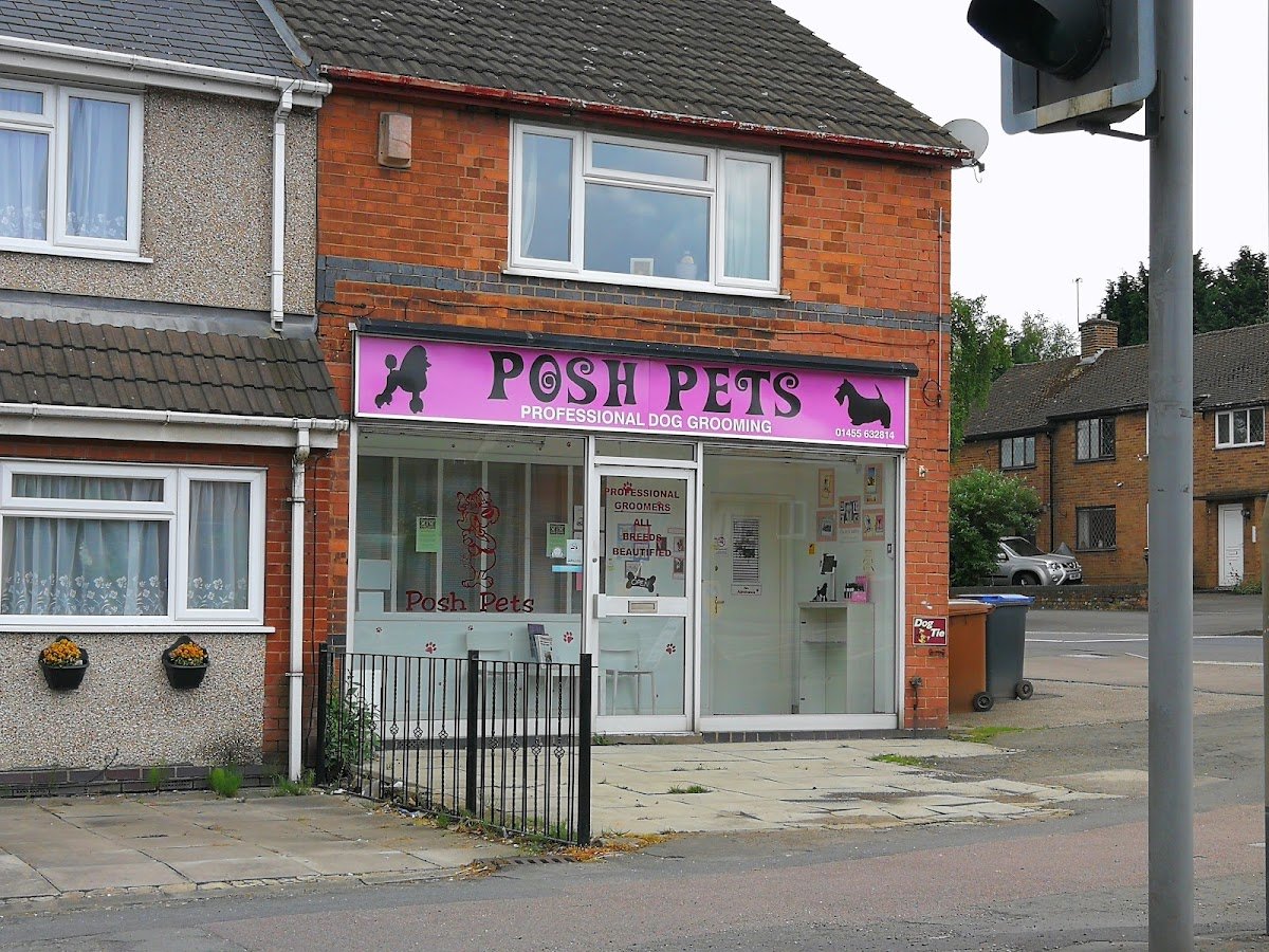 Posh Pets - Photo 2