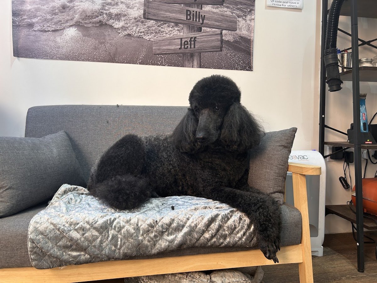BillyJane's Grooming - Photo 2