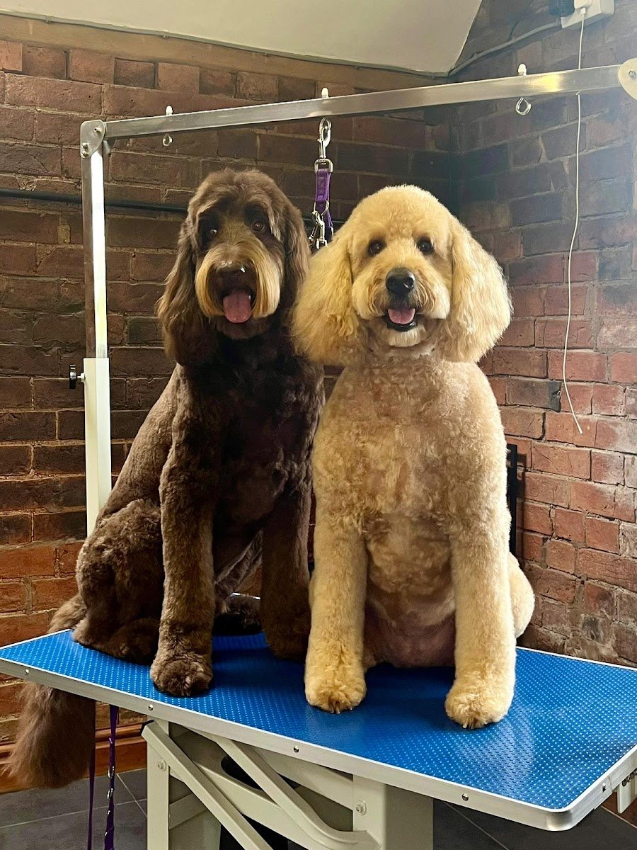Double Doodles Dog Care - Photo 2