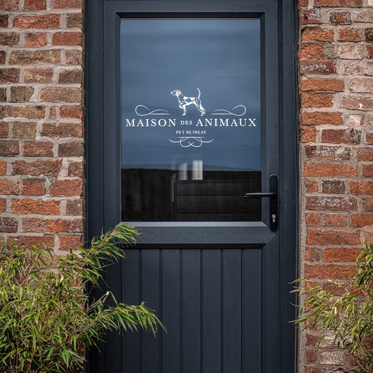 Maison des Animaux - Photo 2