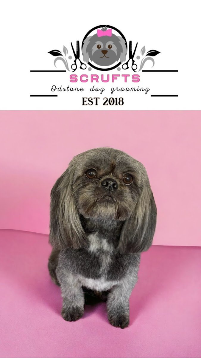 Scrufts Odstone dog grooming - Photo 2