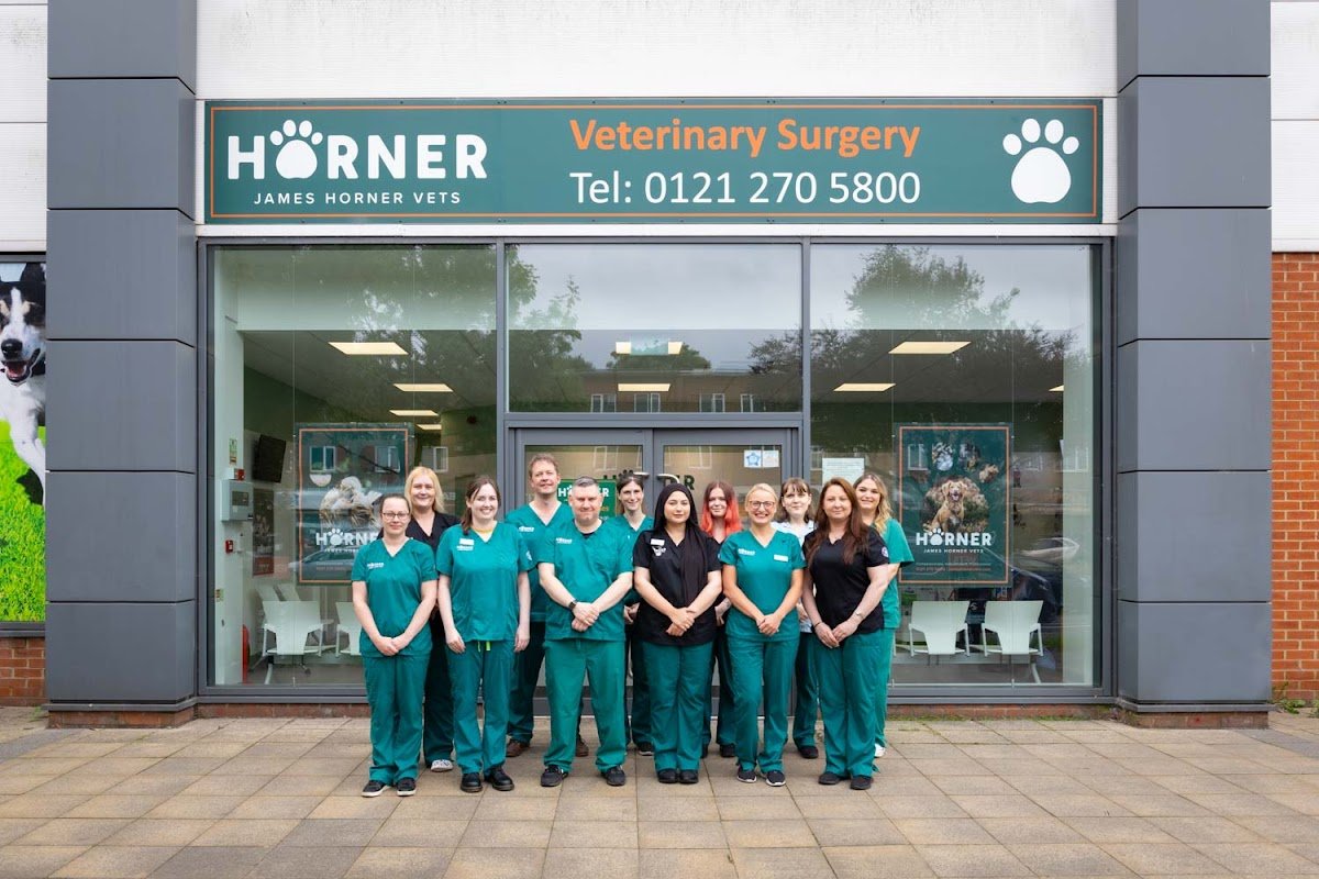Horner Vets - Photo 2
