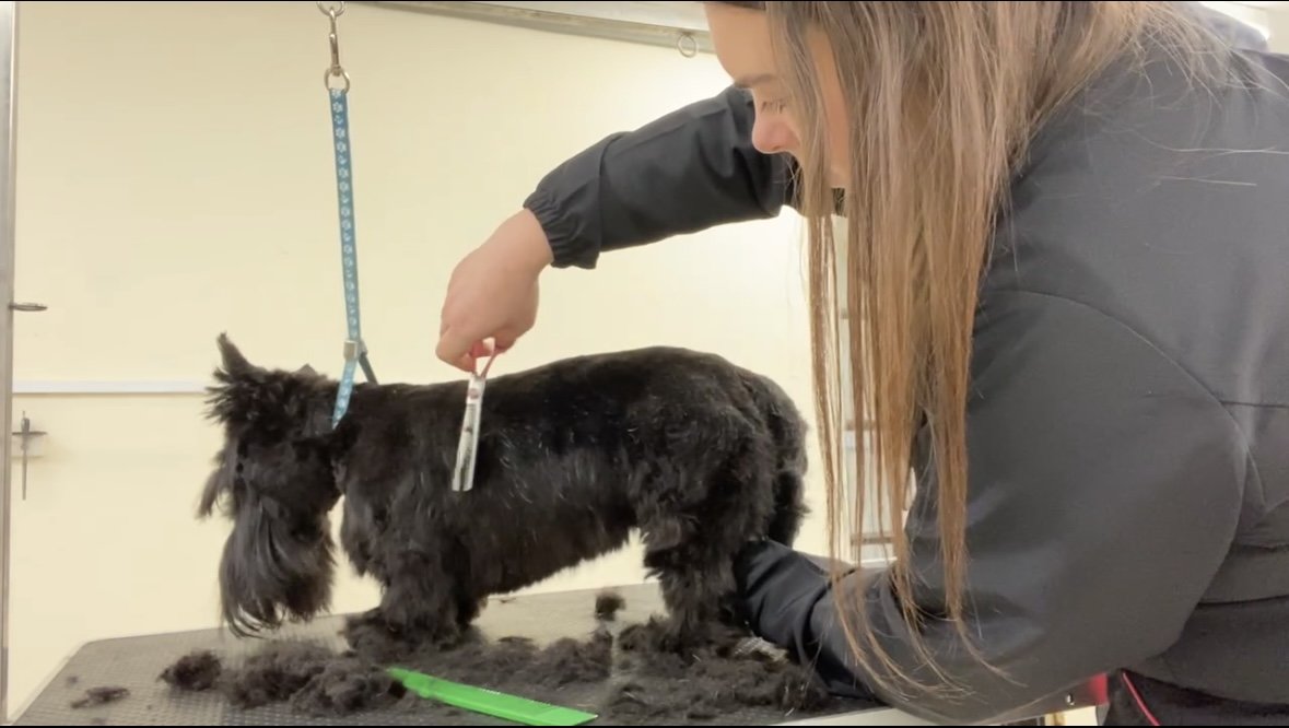 Mucky Pups Training Academy LTD - Photo 2