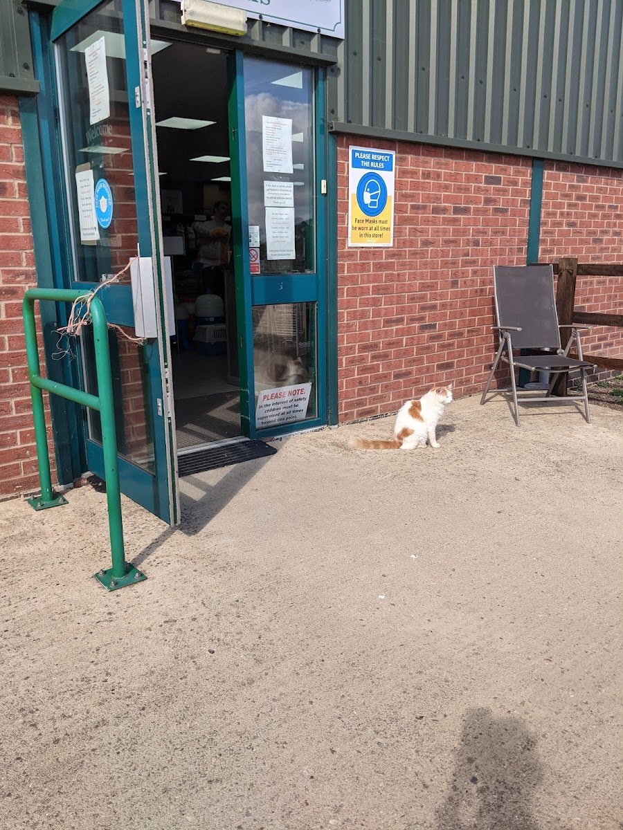 Meadowview Chickens - Photo 2