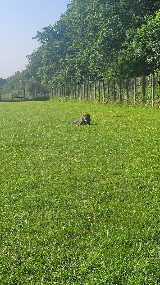 Glebe Farm - Photo 2