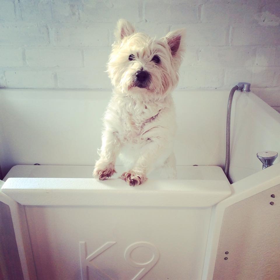 La Pooch Parlour - Photo 5