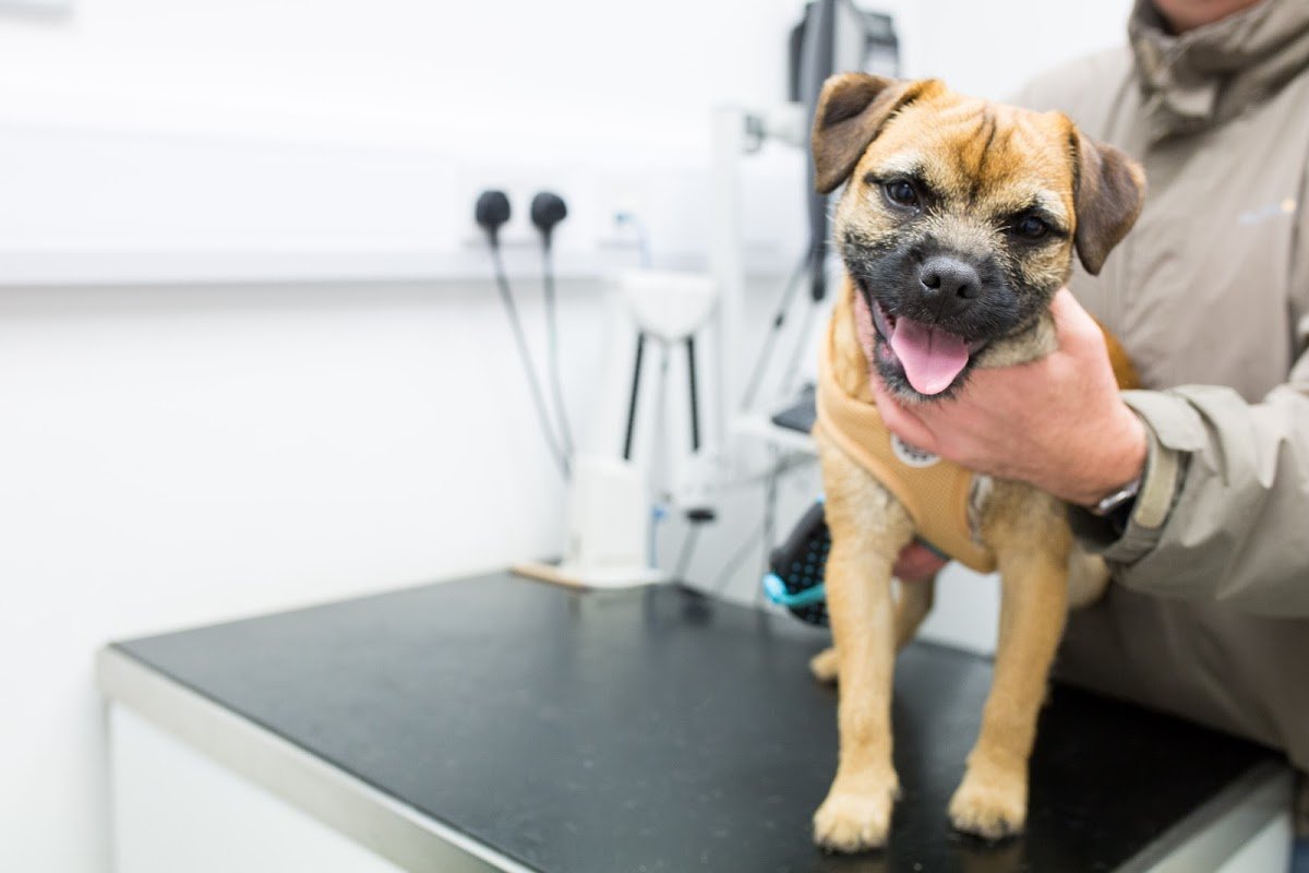 Colebrook Veterinary Surgery - Photo 2
