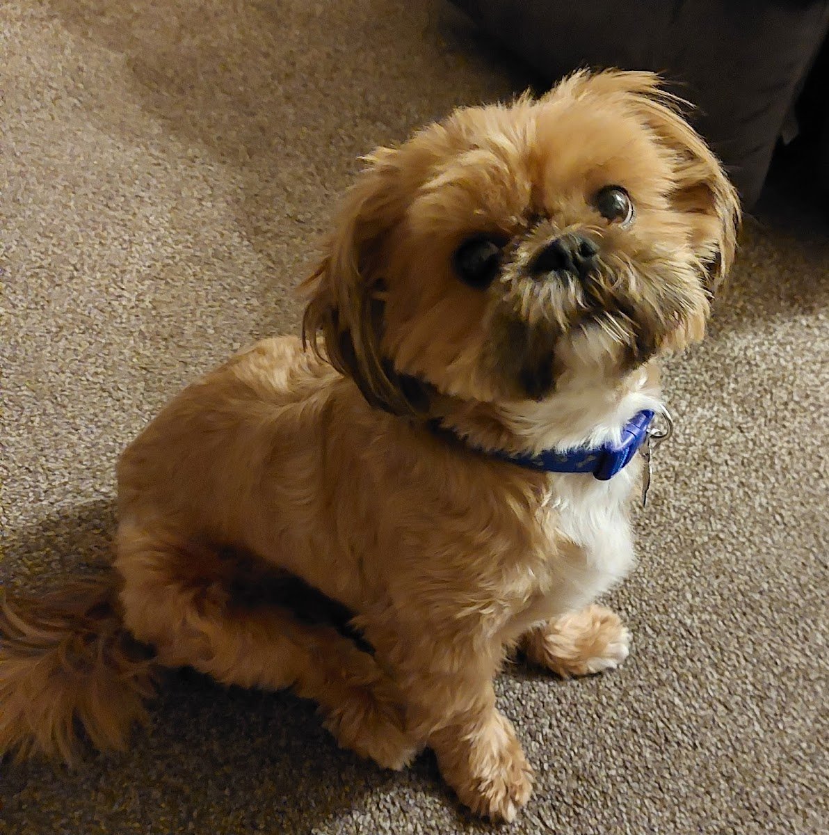Smarty Pants - Photo 2
