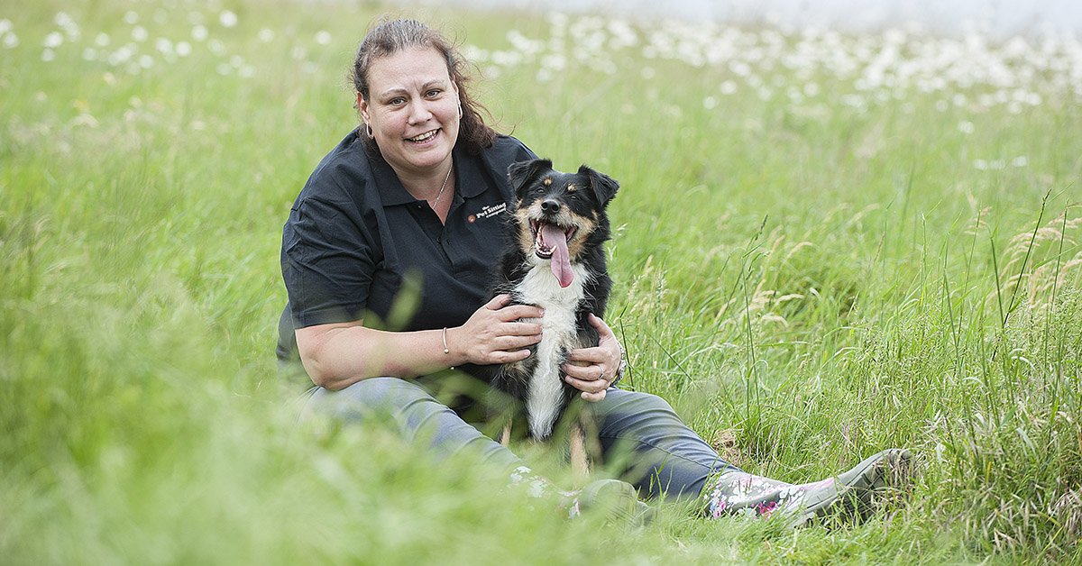 Pet Sitting Nuneaton - Photo 2
