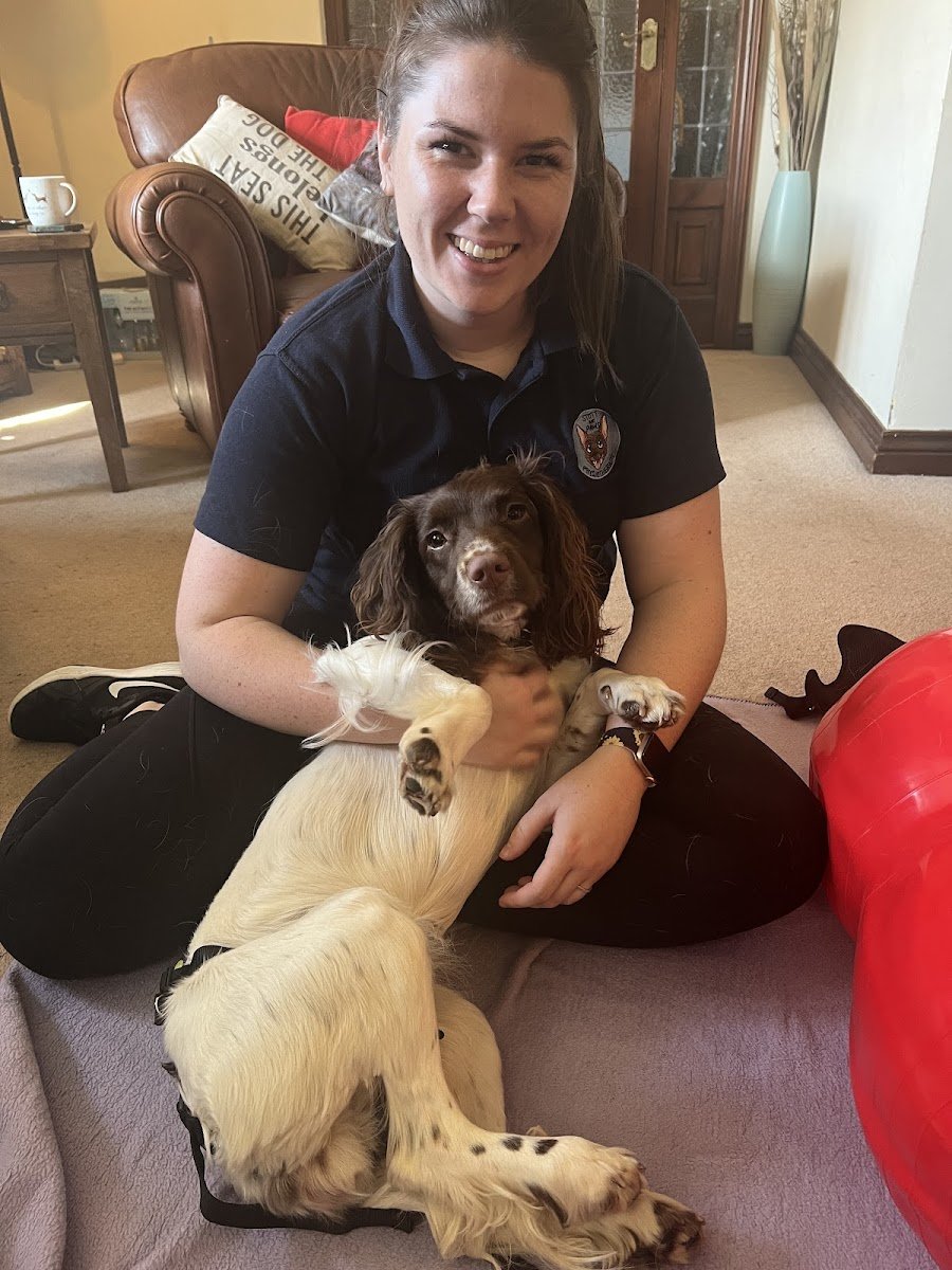 Stott and Paws Physiotherapy - Photo 2