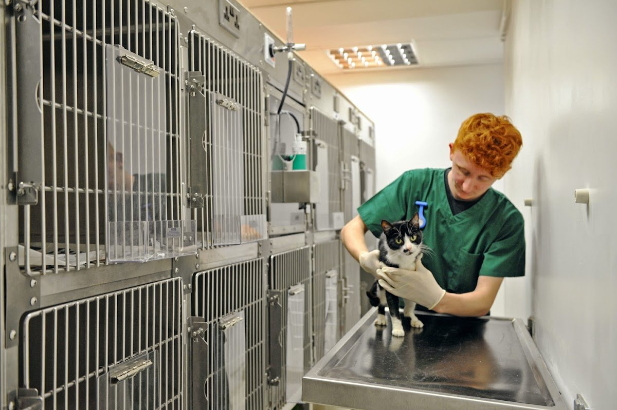 Broad Lane Vets - Photo 2
