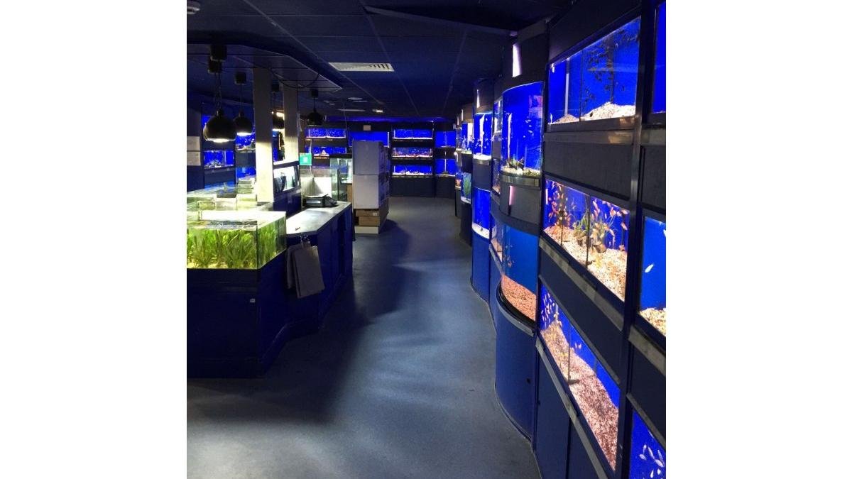 Maidenhead Aquatics Atherstone - Photo 2