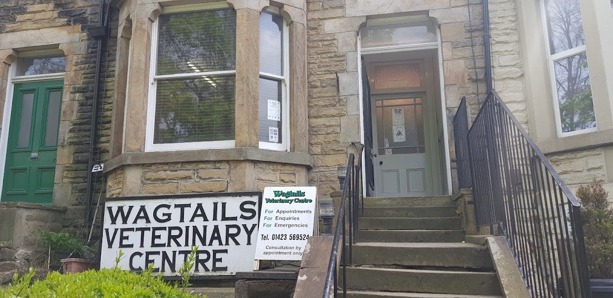 Wagtails Veterinary Centre - Photo 2