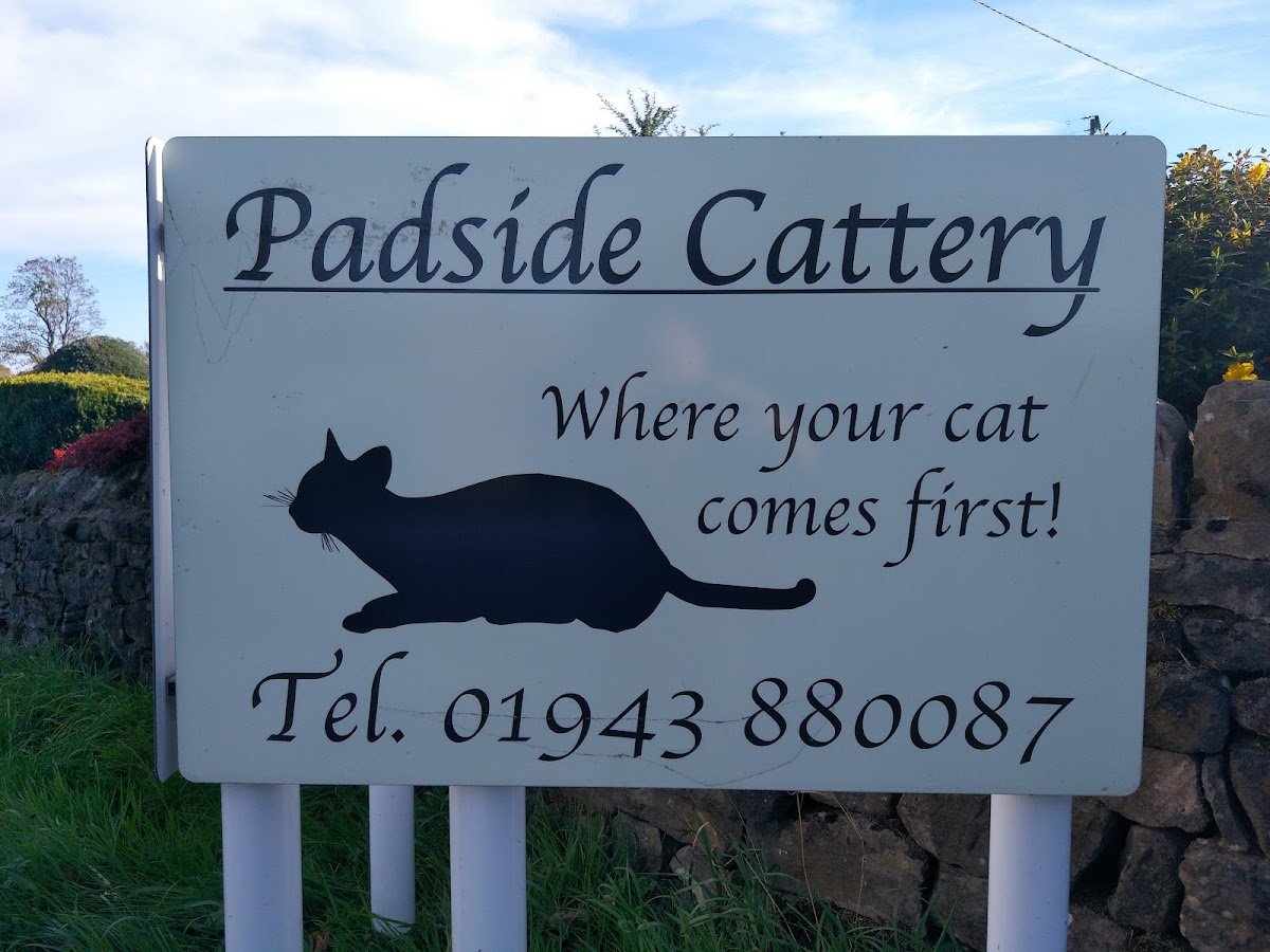 Padside Cattery - Photo 2