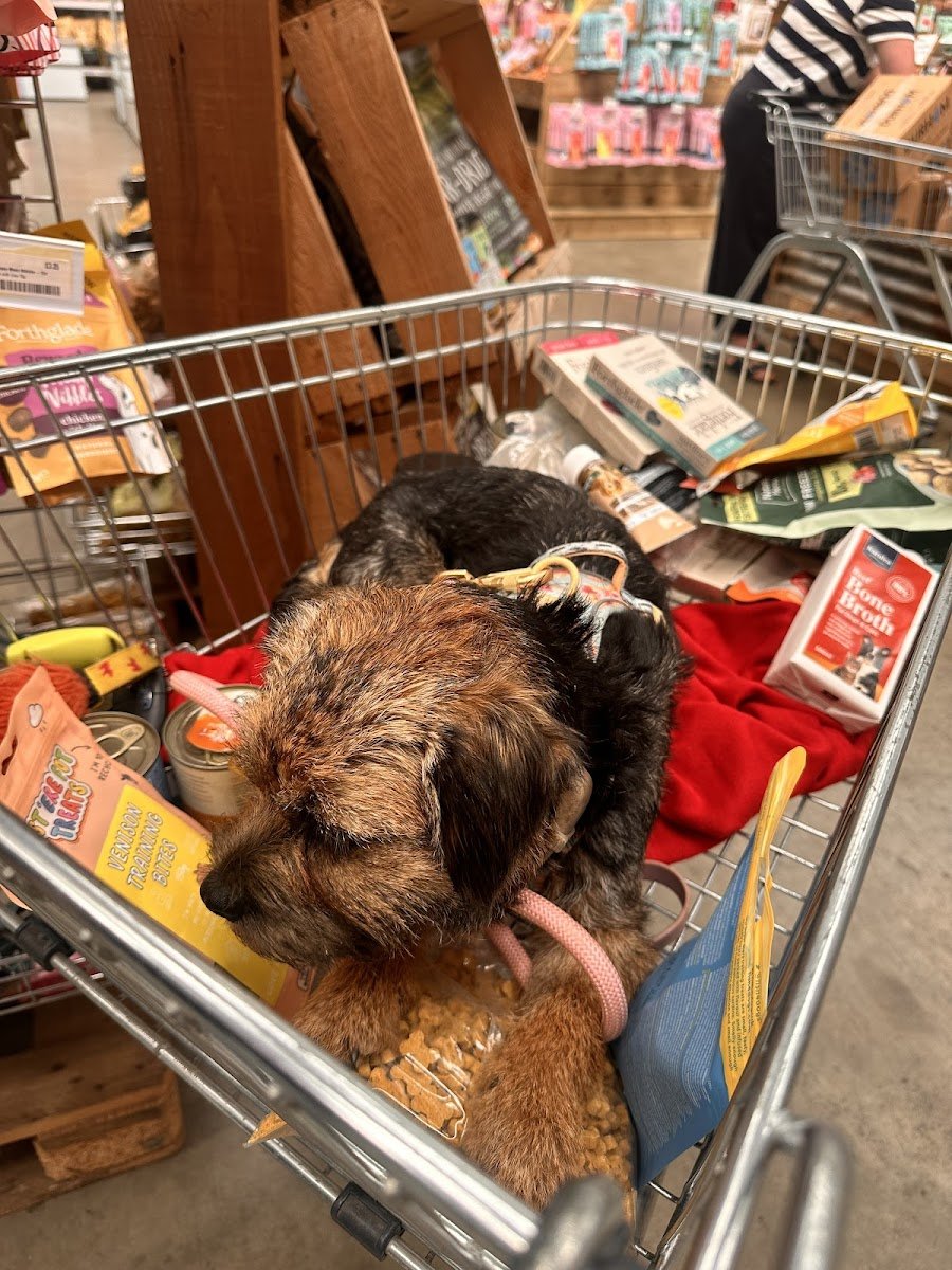 Stefs Pet Pantry - Photo 2